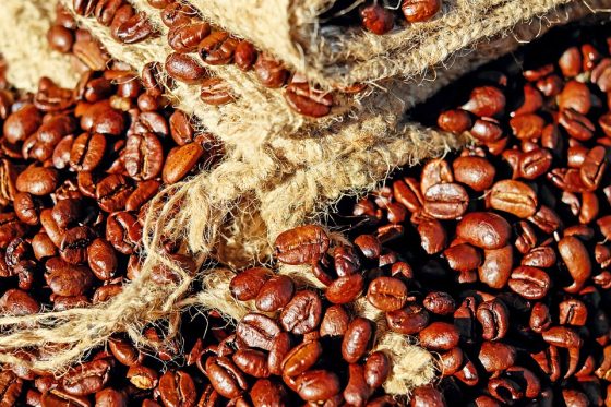 A Closer Look at the Diverse Origins of Your Favorite Coffee Beans