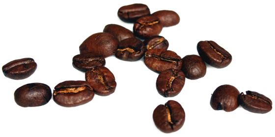 Coffee Bean Myths Debunked: What You Need to Know