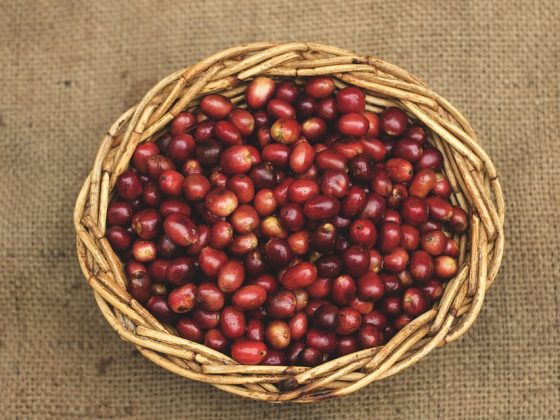 Coffee Beans 101: A Breakdown of Different Origins and Tastes