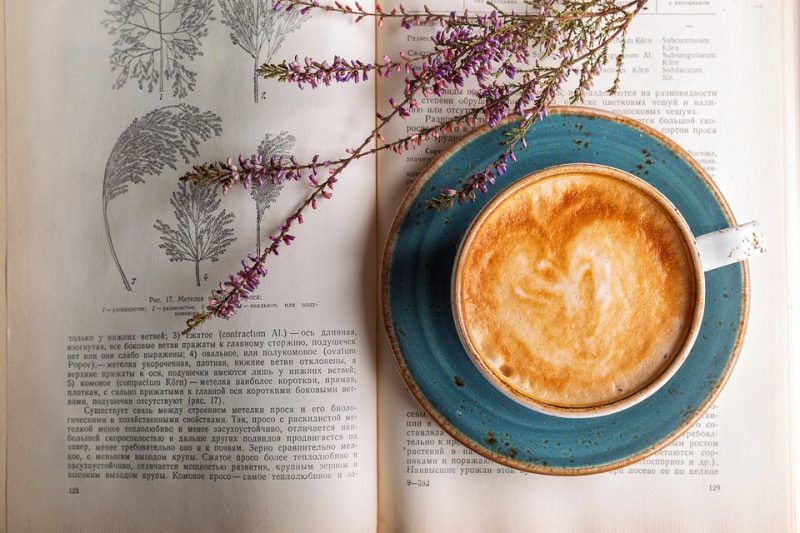 Coffee Connoisseurs: Top Picks for Equipment and Accessories to Enhance Your Brewing Experience Coffee Connoisseurs: Top Picks for Equipment and Accessories to Enhance Your Brewing Experience