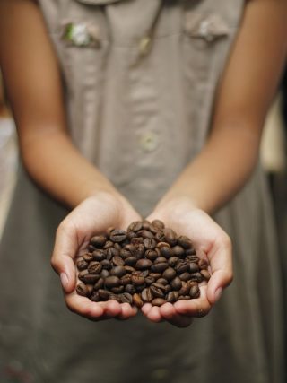 Discovering the Terroir of Coffee: How Origin Impacts Flavor