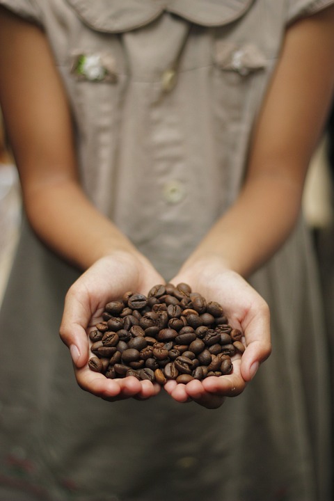 Discovering the Terroir of Coffee: How Origin Impacts Flavor