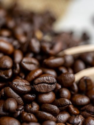 Exploring the World of Rare and Exotic Coffee Beans