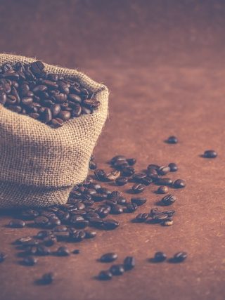 From Ethiopia to Your Mug: Tracing the Origins of Coffee Beans From Ethiopia to Your Mug: Tracing the Origins of Coffee Beans