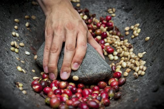 The Health Benefits of Coffee Beans: More Than Just a Morning Pick-Me-Up