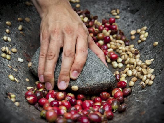 The Health Benefits of Coffee Beans: More Than Just a Morning Pick-Me-Up