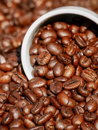 The Top Coffee Bean Varieties from Africa, South America, and Asia