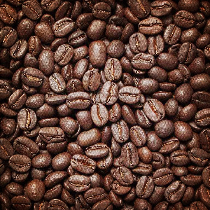 Uncovering the Origins of Your Morning Cup of Coffee